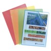Exacompta 56119E Pack of 10 Polypropylene Plastic File Sleeves for
