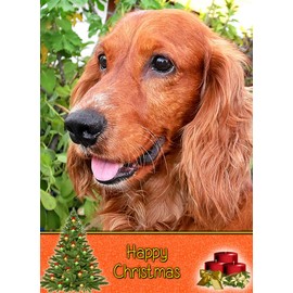 Cocker Spaniel Dog Christmas Card 'Happy Christmas' - Special Animal Xmas Card for Him Her from Pets Kids