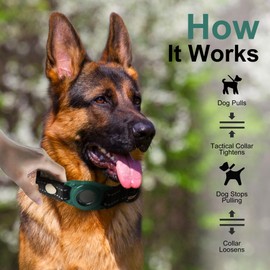 MaBedi Air tag Dog Collar, IP68 Waterproof Air tag Dog Collar Holder, Reflective, Durable & Adjustable pet Collar with Metal Ring for Comfort,Suitable for Small, Medium and Large Dogs (L, Bone)
