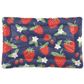 xigua Strawberry Pet Bed, Soft Anti-Slip Dog Cat Bed Pet Mattress for Small Medium Large Dogs and Cats, 24 x 18 Inch