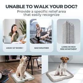 PAWISE Dog Training Pee Pad Holder Tray, Indoor Puppy Potty Pee Pad Floor Tray Dog Toilet, 24''X24', Large