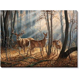 Rosemary Millette - Woodland Splendor - Whitetail Deer