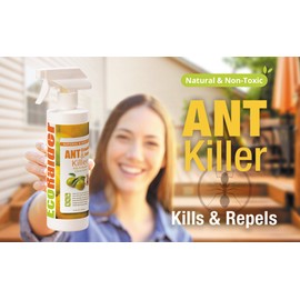 EcoRaider Ant Killer & Crawling Insect Killer (16OZx2)