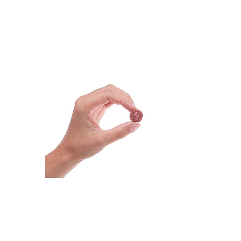 Preen Pets Bacon Bites Dog Treats (2LB)