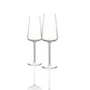 Schott Zwiesel Passionata Champagne Glass x2