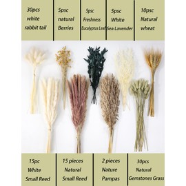 126pcs Dried Pampas Grass Decorations, Dried Flowers, Dried Bouquet in Vase, Reed Grass Bouquet for Boho Floral Wedding, Bedroom, Rustic Farmhouse Decor. (Vase Not Included)