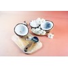 Traditional Coconut Scraper with Wooden Handle, Stainless Steel Blade, Kitchen