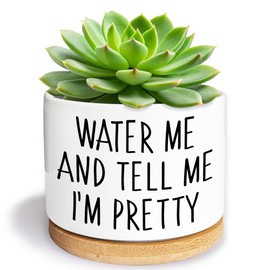 Kwtzkuo Water Me and Tell Me I'm Pretty - Cute Ceramic Planter Pot with Drainage Hole, Home Office Funny Small Succulent Cactus Pot for Women, Friends, Coworker, Plant Lovers