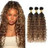 6LX 1BP427 Water Wave Hair Extensions 20 22 24 inch