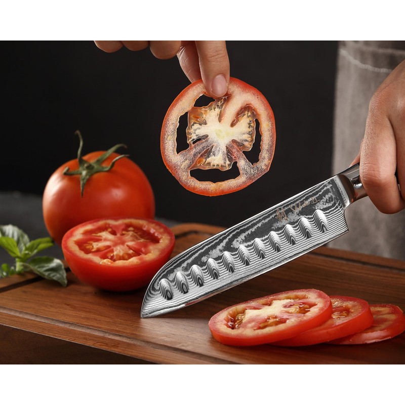 Wakoli EDIB 2-Piece Damascus Kitchen Knife Set – Santoku &