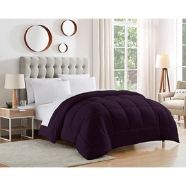 Dorm Room Essentials College Bedding Comforter 1 Piece Queen Size Solid Color Duvet Insert for College Students Boys and Girls, Queen, Eggplant Purple