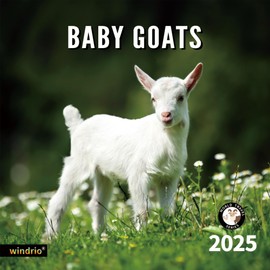 2025 Wall Calendar,Calendar 2025, November 2024 - December 2025, Wall Calendar Baby Goats, 12" x 24" Opened,Full Page Months Thick & Sturdy Paper for Calendar Organizing & Planning