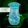 Air Wick Air Wick Scented Oil Refill, 5ct, Fresh Waters,