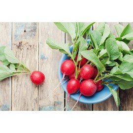 CEMEHA SEEDS - Red Ball Radish 20 Days Non GMO Vegetable for Planting