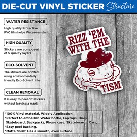 Set 3PCS - Rizz 'Em with The Tism Sticker Funny Meme Frog Decal Cowboy Frog 3" Water Assistant, Vinyl Waterproof Die-Cut Sticker for Laptop, Water Bottle, Hard Hat, Helmet, Car, Phone (3 inches)