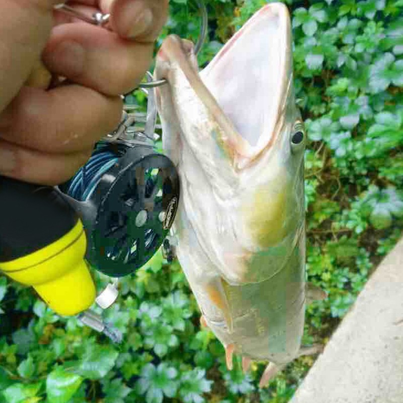 Fish Lock Buckles 6m 5 Locks Chain Stringer with Float