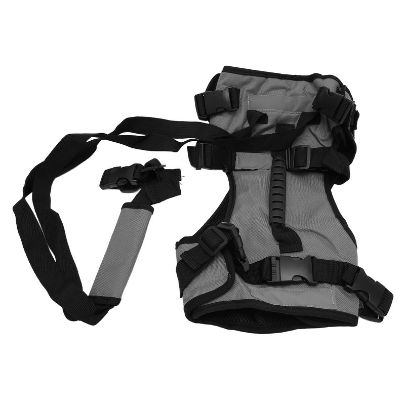 Cat Vest Harnesses Leash Adjustable Breathable Stylish Multifunctional Pet Walking