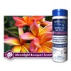 Scented SPA Shock Sample Pack- Oxygen Enhanced Aromatherapy for SPAS