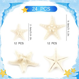 Jangostor 24 PCS Starfish, Mixed Starfish 1" to 2" and 2" to 3" Knobby Starfish Natural Seashells Starfish Perfect for Wedding Decor Beach Theme Party, Home Decorations, DIY Crafts, Fish Tank