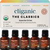 Cliganic Set de 5 Aceites Esenciales Orgánicos para Difusor, 15
