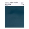 Pantone Metallic Shimmer TPM, 8.5x11 Inch Sheet, 20-0166 Thunderhead