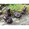 London Ornaments Set of 4 Cute Bronze Effect Mice (B)