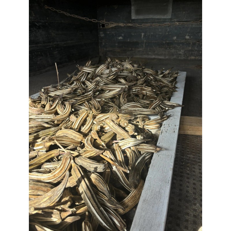 Lot Of 12 Dried Okra Pods.