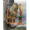 Songbird Essentials Recycled Poly Squirrel Feeder Table & Chair for