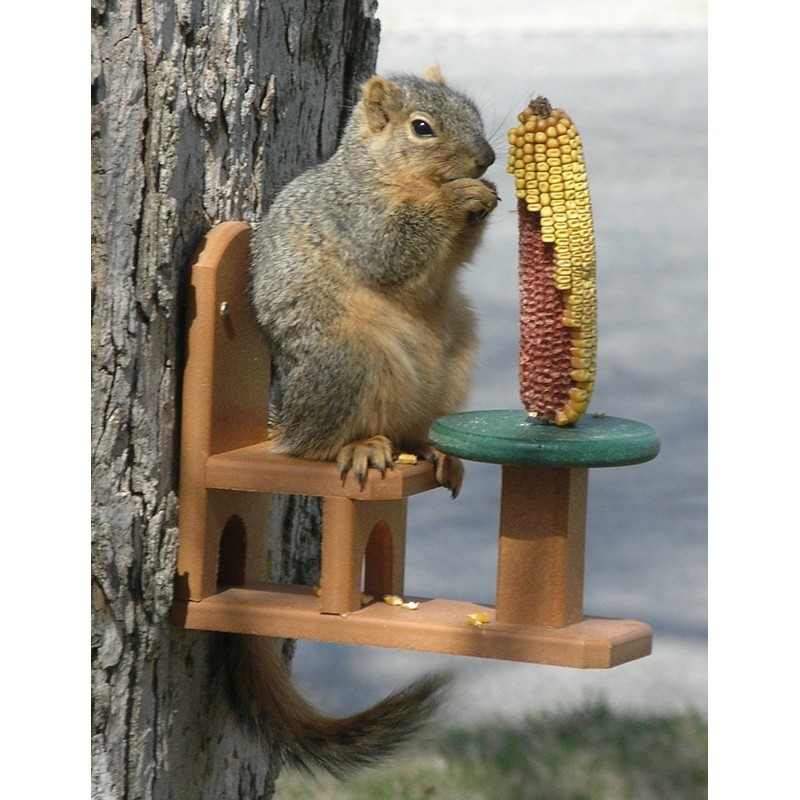 Songbird Essentials Recycled Poly Squirrel Feeder Table & Chair for