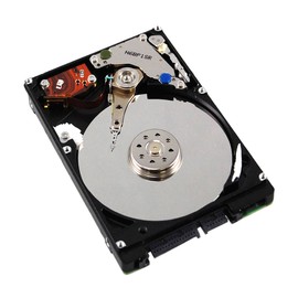 WD 1TB Portable SATA Hard Drive - OEM - Blue