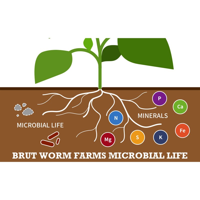 Brut Organic Cow Compost - 1 Cubic ft - Nutrient-Rich