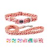 Olahibi Dog Collar and Leash Set, Cute Cherry Pattern, Polyester