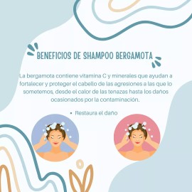 BONITA ORGANICS Shampoo De Bergamota Refrescante