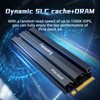 fanxiang 1TB Gen5 NVMe M.2 SSD with Heatsink - Up
