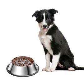 ORIA Slow Feeder Dog Bowls, Stainless Steel Dog Bowl with Slow Feeder Insert, No Spill Dog Water Bowl, Non-Slip Pet Cat Bowl, for Small Medium Breeds, Holds Up to 2 Cups, M