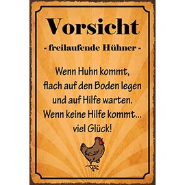 Schatzmix Caution Freilaufende Hühner Metal Sign 20 x 30 cm Decorative Tin Sign, Sheet Metal, Multi-Coloured