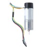 Encoder Gear Motor, New Hall Encoder Speed Reduction Gear Motor