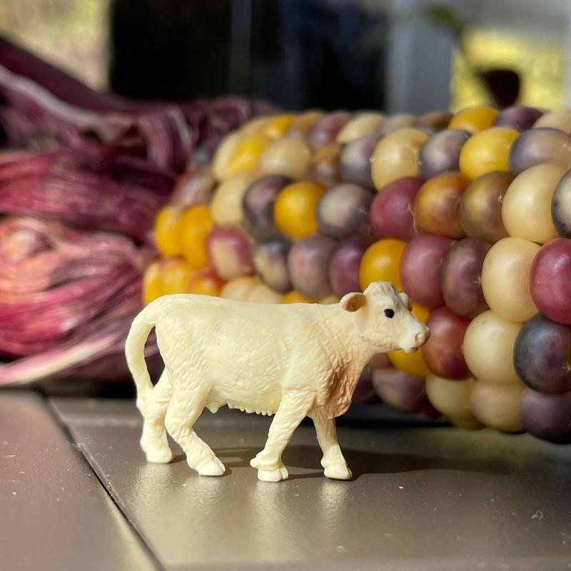 Safari Ltd. Good Luck Minis Ranch Fun Pack – 8