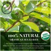 Akshit Organic Dried Guava Leaves, 7.8 oz, Hojas De Guayaba,