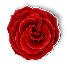 Red Rose Beautiful - Magnet - Car Fridge Locker - 5"