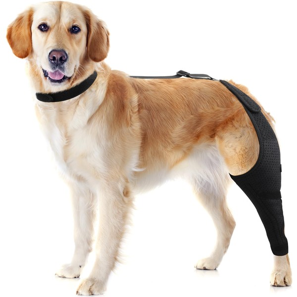 Domagiker Dog Knee Brace - Knee Cap Dislocation for ACL,