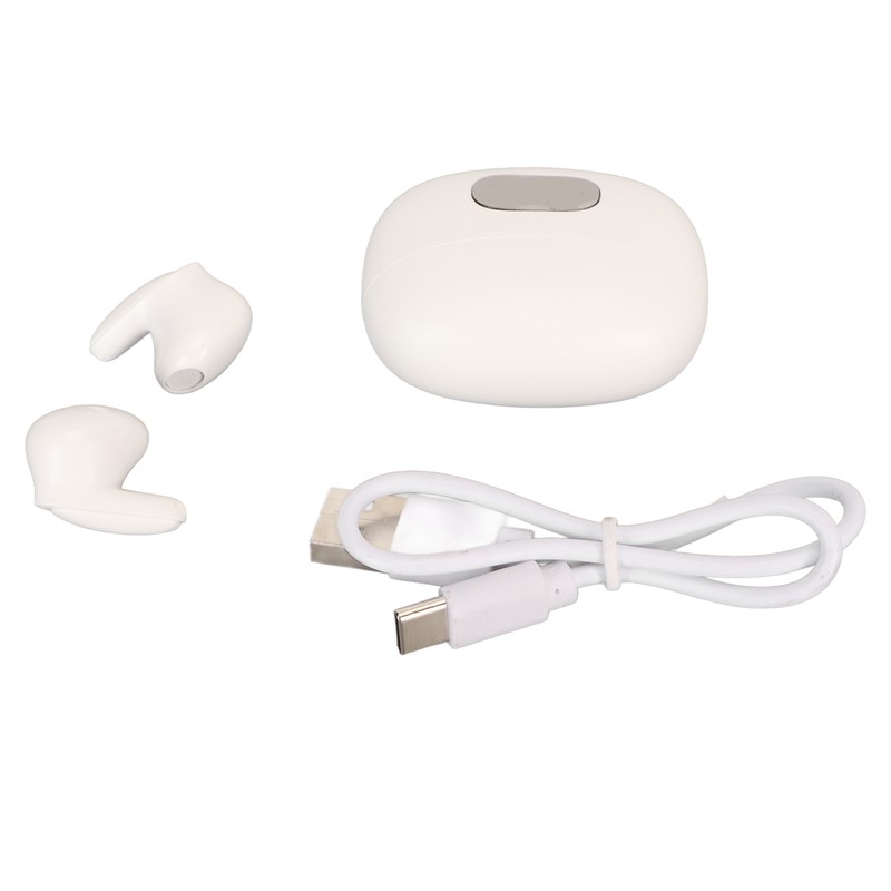 Bluetooth Translator Earbuds Noise Reduction 74 Languages 70 Accents Wireless