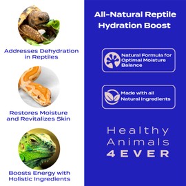 HealthyAnimals4Ever Hydration Boost for Reptiles - Natural Formula for Moisture Balance, Skin Vitality & Energy Support - Ideal for Low-Humidity Environments - 300 Count