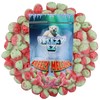 Freeze Dried Melon Slices Gummy Candy 4 Ounce (Pack of