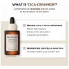 Skin1004 Madagascar Probio-cica Kit Antiedad Piel Madura
