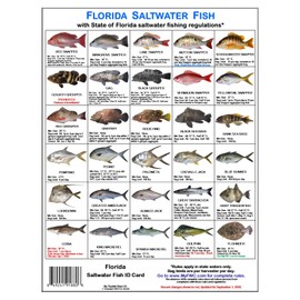 Florida Saltwater Fish Identification Card Set - 3 Doublesided Waterproof Cards Showing 60 Common Fish and 17 Sharks in True-to-Life Photographs with FWC Rules.