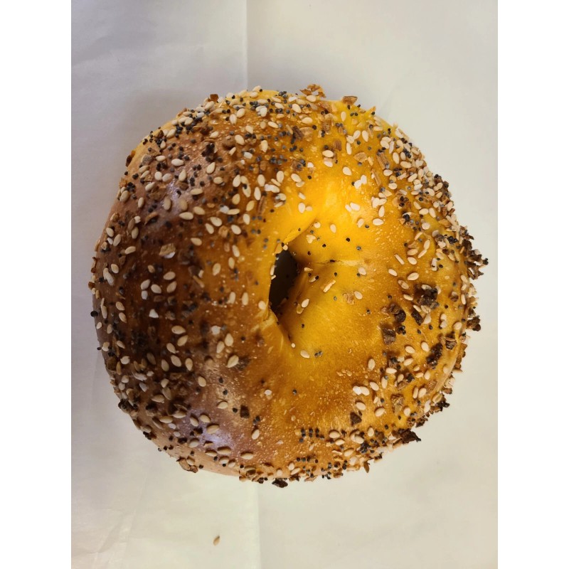 Long Island NY bagels 1 dozen EGG EVERYTHING Bagels $19.99