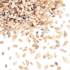 PandaHall 140g Tiny Sea Shell Ocean Beach Spiral Seashells Craft Charms for Candle Making Home Beach Theme Party Wedding Decor Resin Filler, Fish Tank and Vase Filler, No Hole