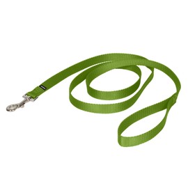 PetSafe Nylon Dog Leash Strong, Durable, Traditional Style Lead with Easy to Use Bolt Snap for Small, Medium and Large Dogs 3/4" x 6', Apple Green