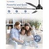 ZMISHIBO 60" Ceiling Fans with Lights, Black Modern Ceiling Fan